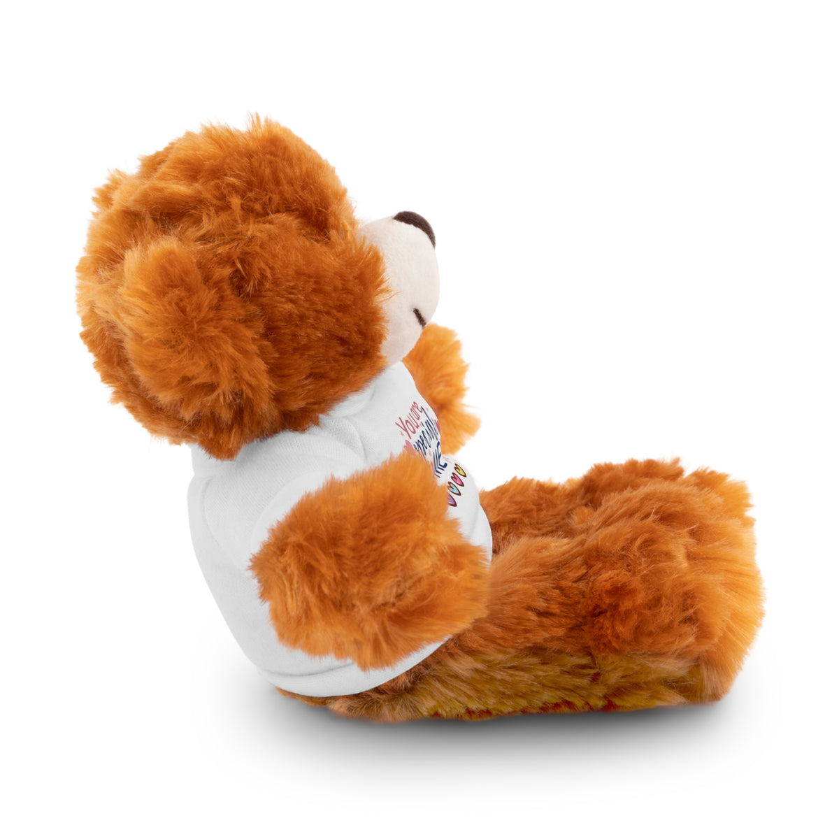 Stuffed Animals with Tee- perfect gift for clients