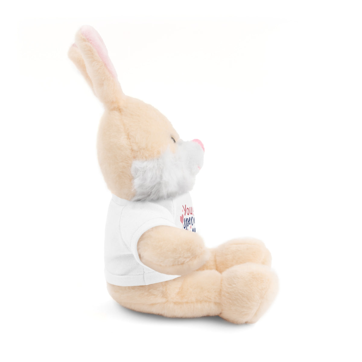 Stuffed Animals with Tee- perfect gift for clients