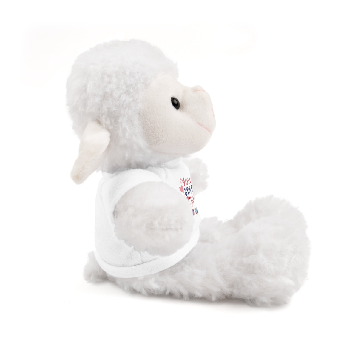 Stuffed Animals with Tee- perfect gift for clients