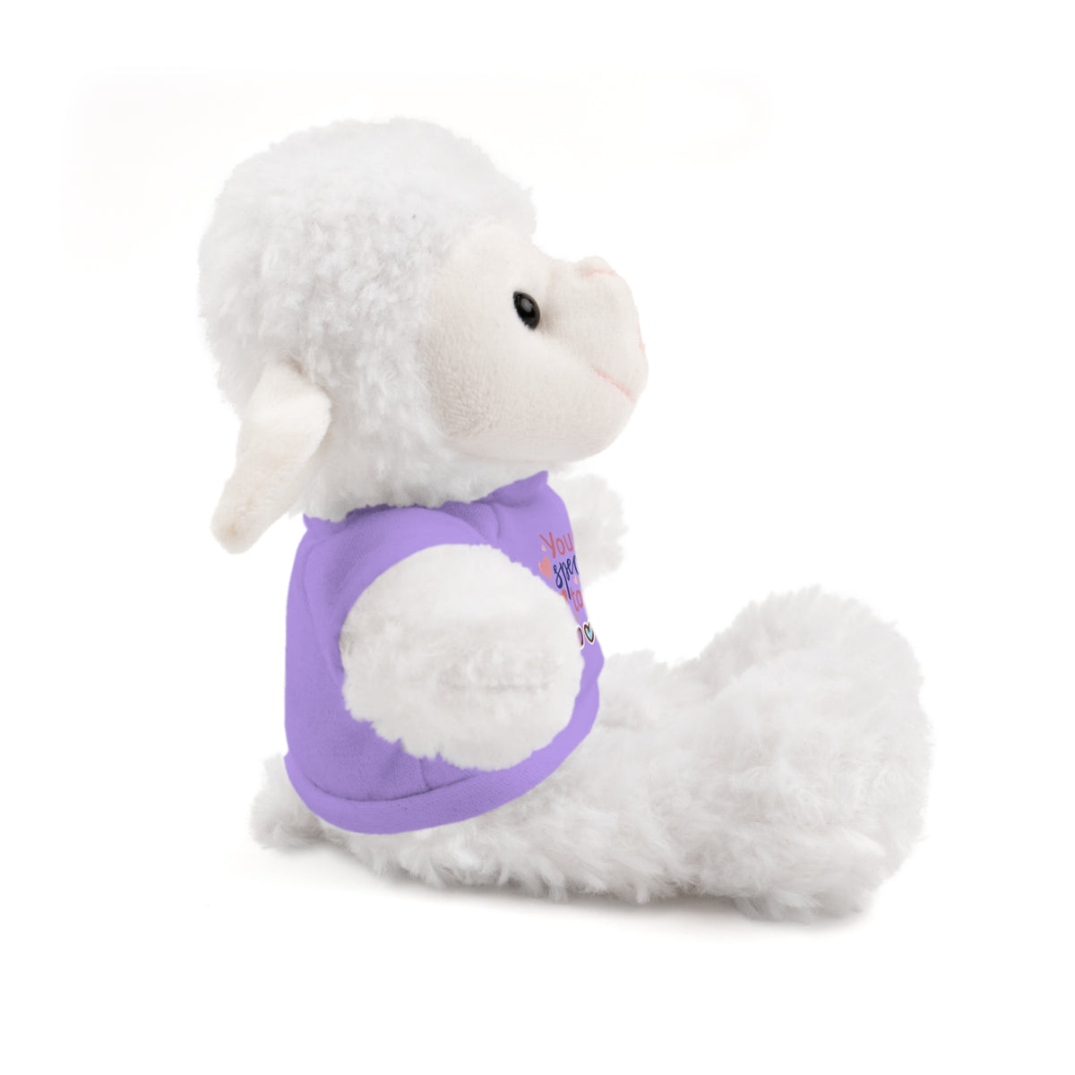 Stuffed Animals with Tee- perfect gift for clients