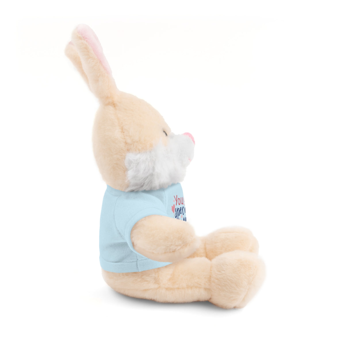 Stuffed Animals with Tee- perfect gift for clients