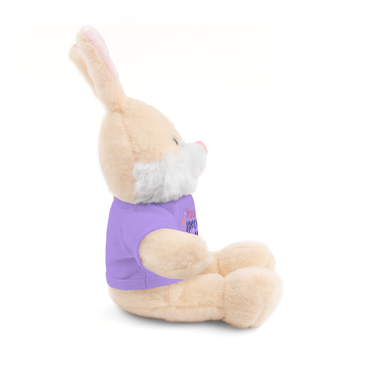 Stuffed Animals with Tee- perfect gift for clients