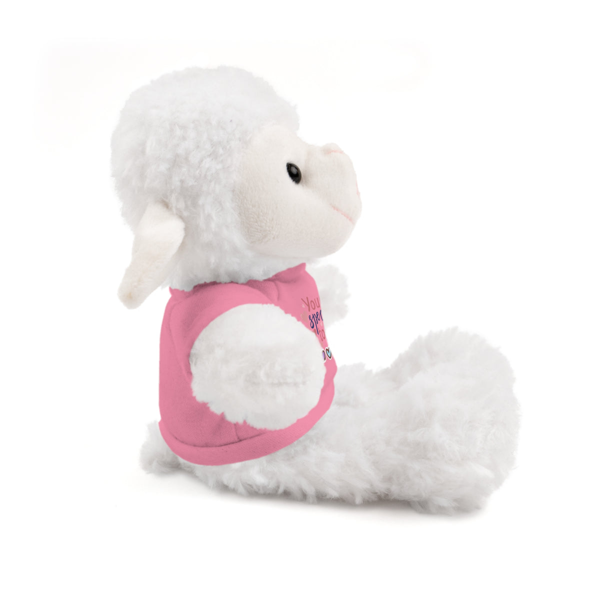 Stuffed Animals with Tee- perfect gift for clients