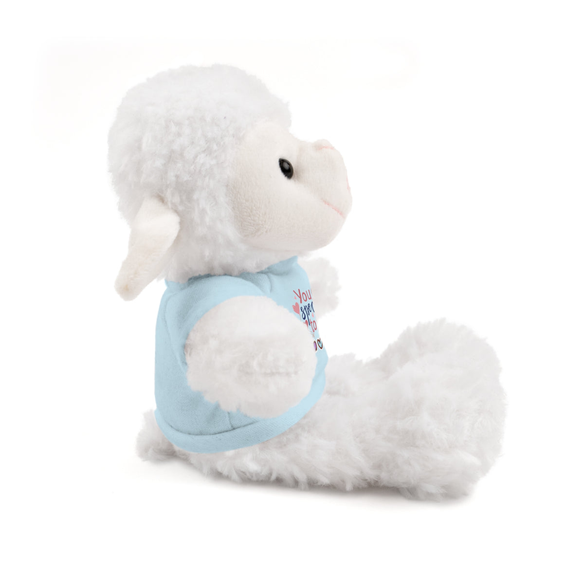 Stuffed Animals with Tee- perfect gift for clients