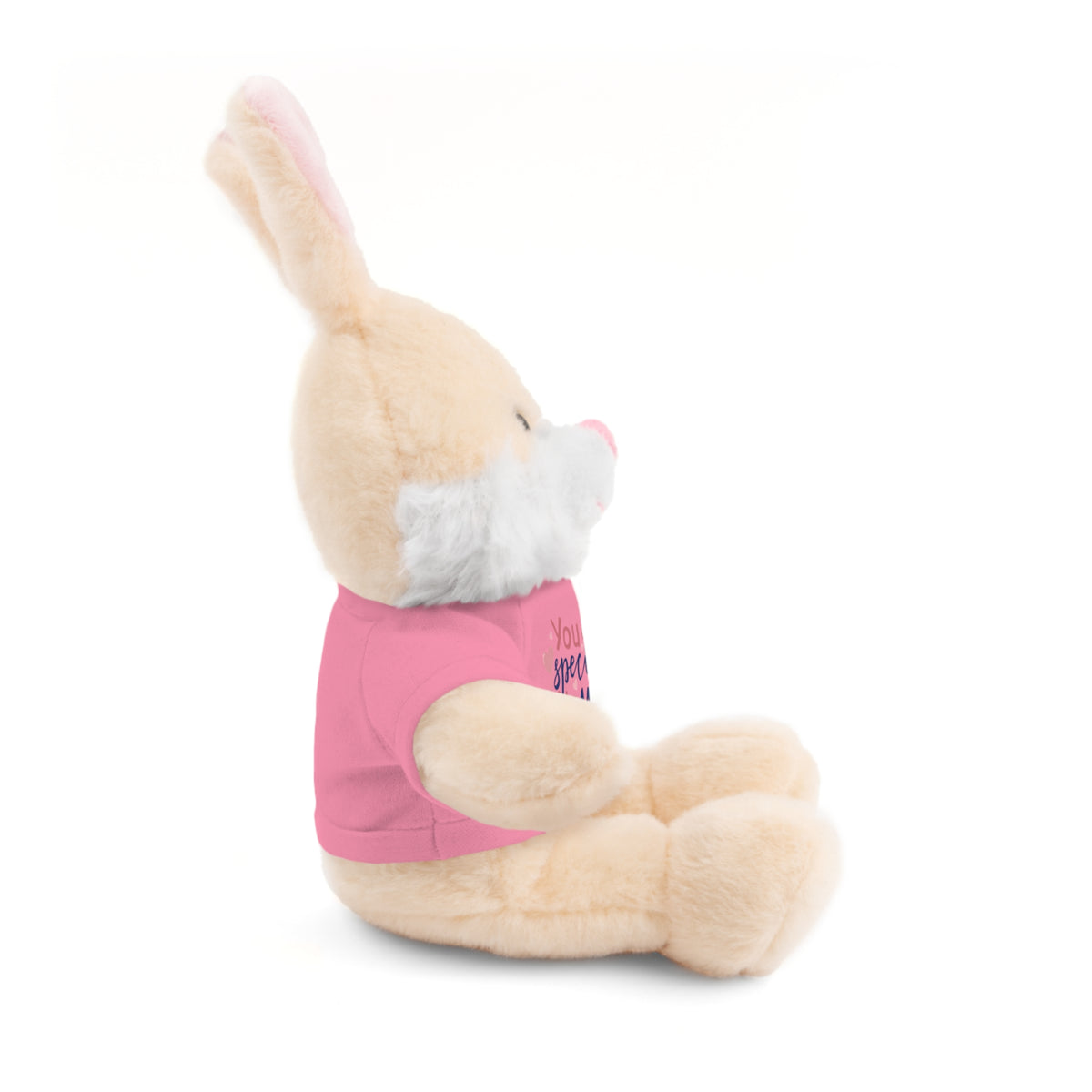 Stuffed Animals with Tee- perfect gift for clients